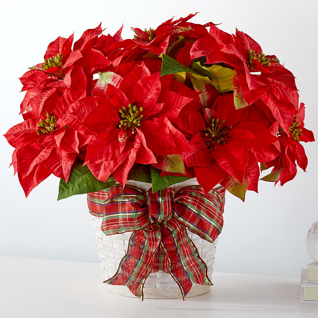 Happiest Holidays Poinsettia – Militaryflorist.com, Tontitown AR