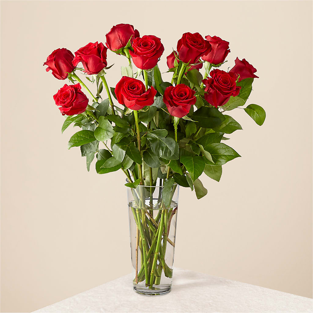 Long Stem Red Rose Bouquet – Militaryflorist.com, Tontitown AR