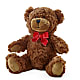 Adorable Plush Bear – Militaryflorist.com, Tontitown AR