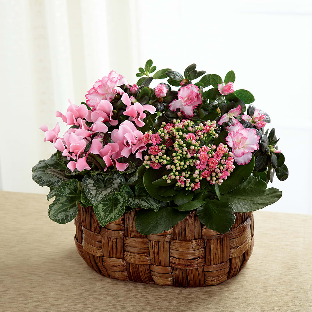 Pink Assortment – Militaryflorist.com, Tontitown AR