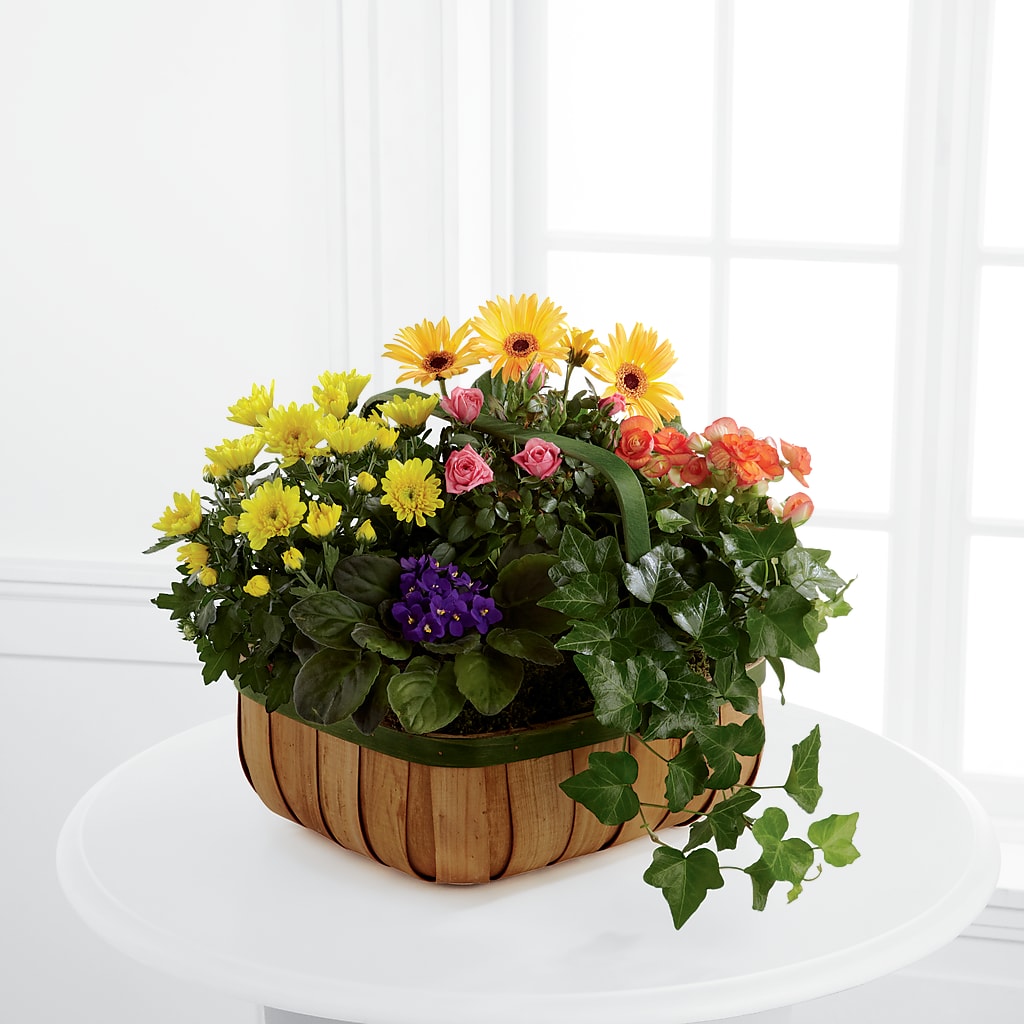 Gentle Blossoms Basket – Militaryflorist.com, Tontitown AR