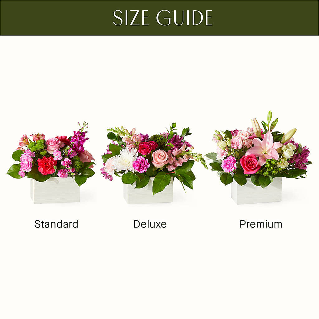 Sweetberry Box – A Florist Original – Militaryflorist.com, Tontitown AR