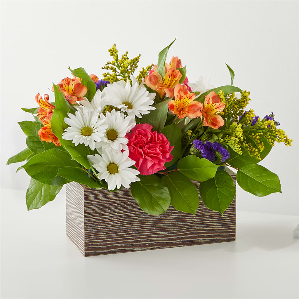 Oopsie Daisy Box Bouquet – Militaryflorist.com, Tontitown AR