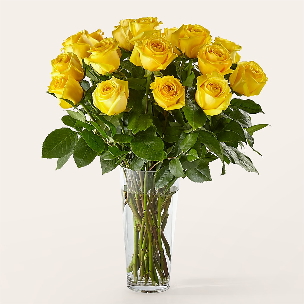 Long Stem Yellow Rose Bouquet – Militaryflorist.com, Tontitown AR