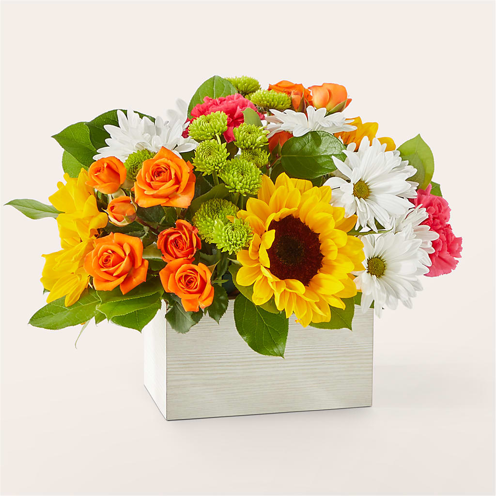 Sun-drenched Blooms Box Bouquet – Militaryflorist.com, Tontitown AR