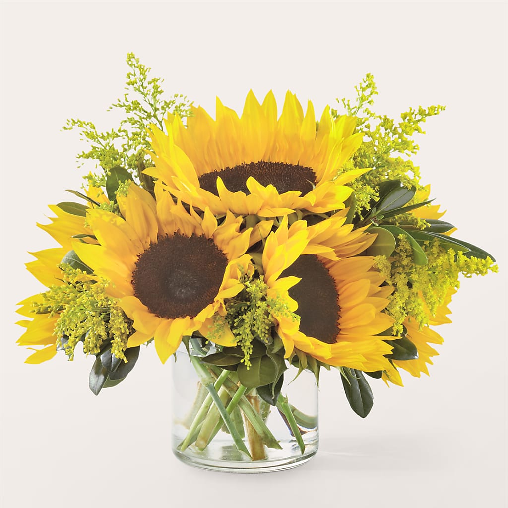 Beaming Sunflower Bouquet – Militaryflorist.com, Tontitown AR