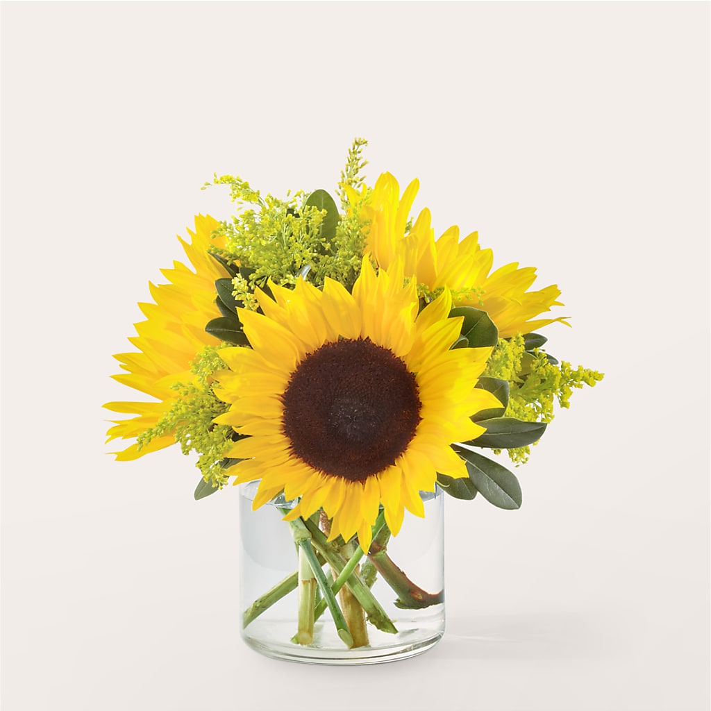 Beaming Sunflower Bouquet – Militaryflorist.com, Tontitown AR
