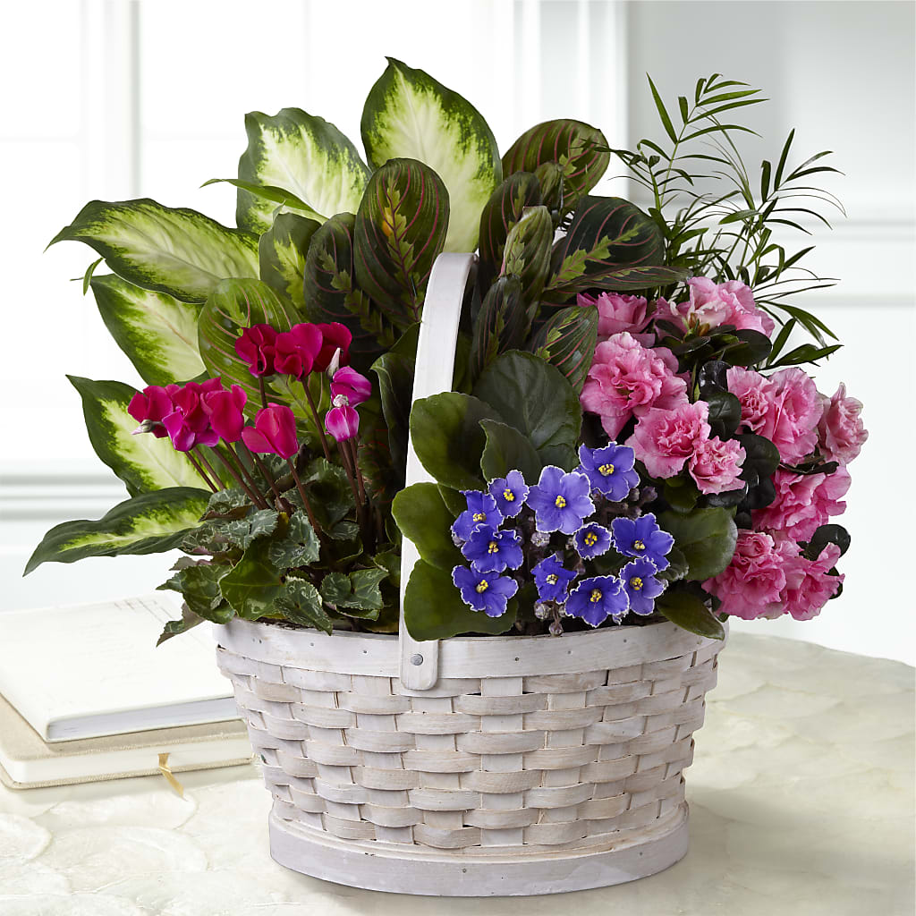 Peaceful Garden Planter – Militaryflorist.com, Tontitown AR