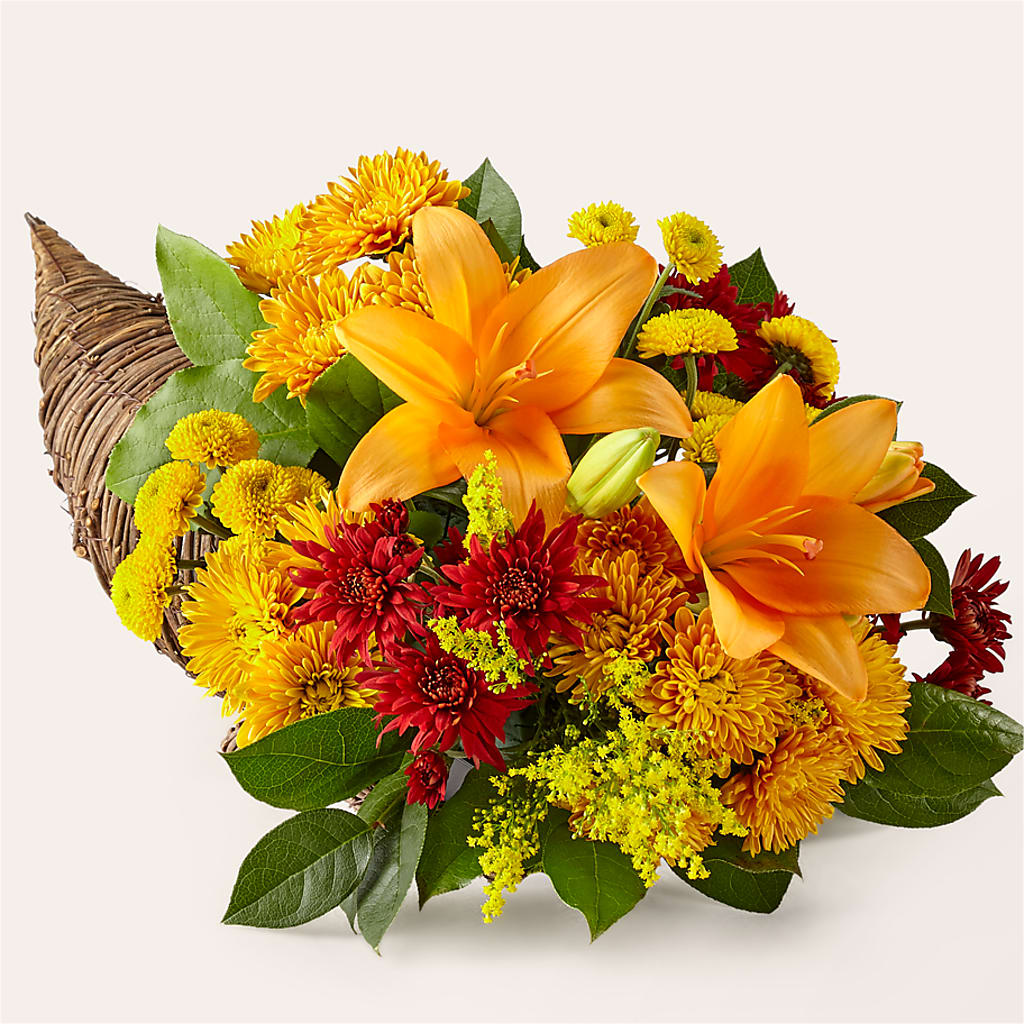Feast of Color Cornucopia – Militaryflorist.com, Tontitown AR