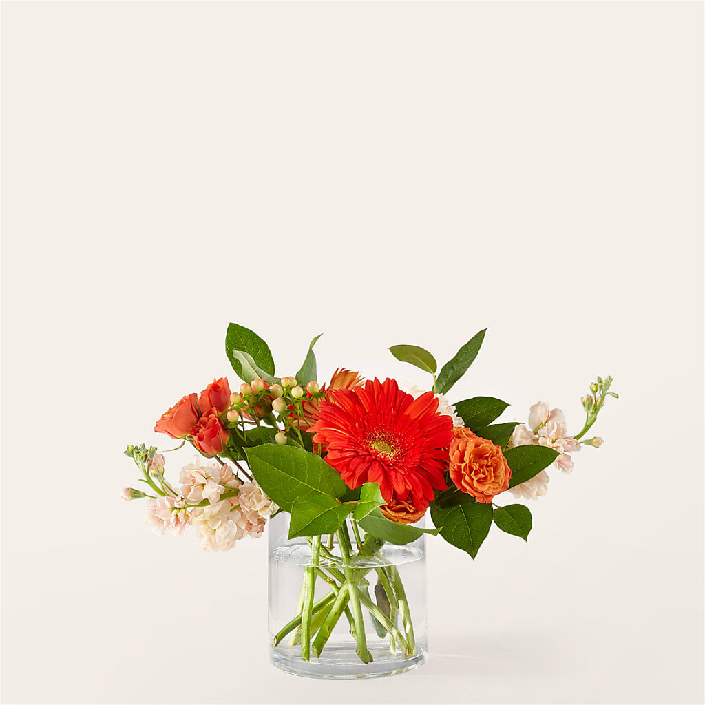 Paloma Please Bouquet – Militaryflorist.com, Tontitown AR