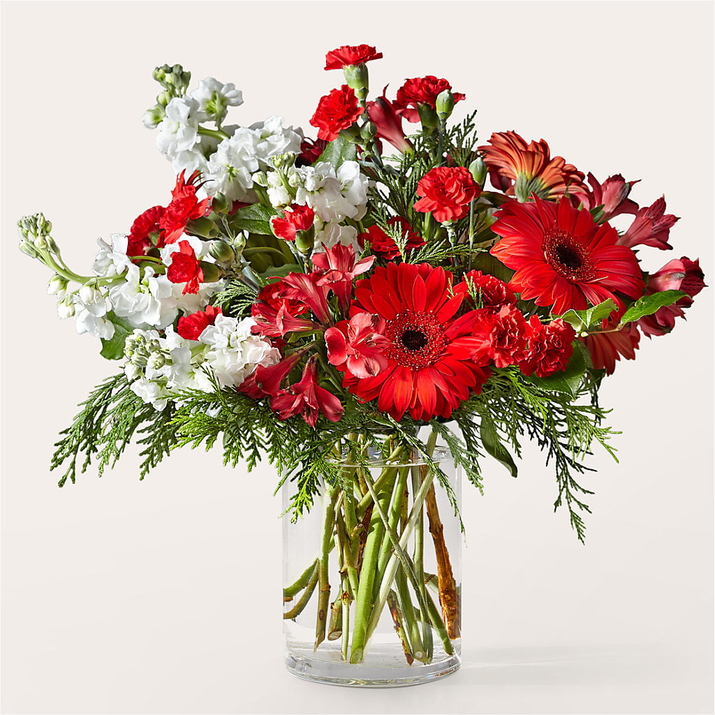 Holidaisy Bouquet – Militaryflorist.com, Tontitown AR