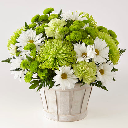 Lucky Charm Basket (Standard) –  Militaryflorist.com, Tontitown AR