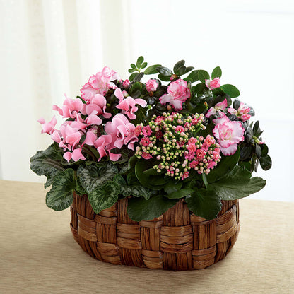 Pink Assortment –  Militaryflorist.com, Tontitown AR