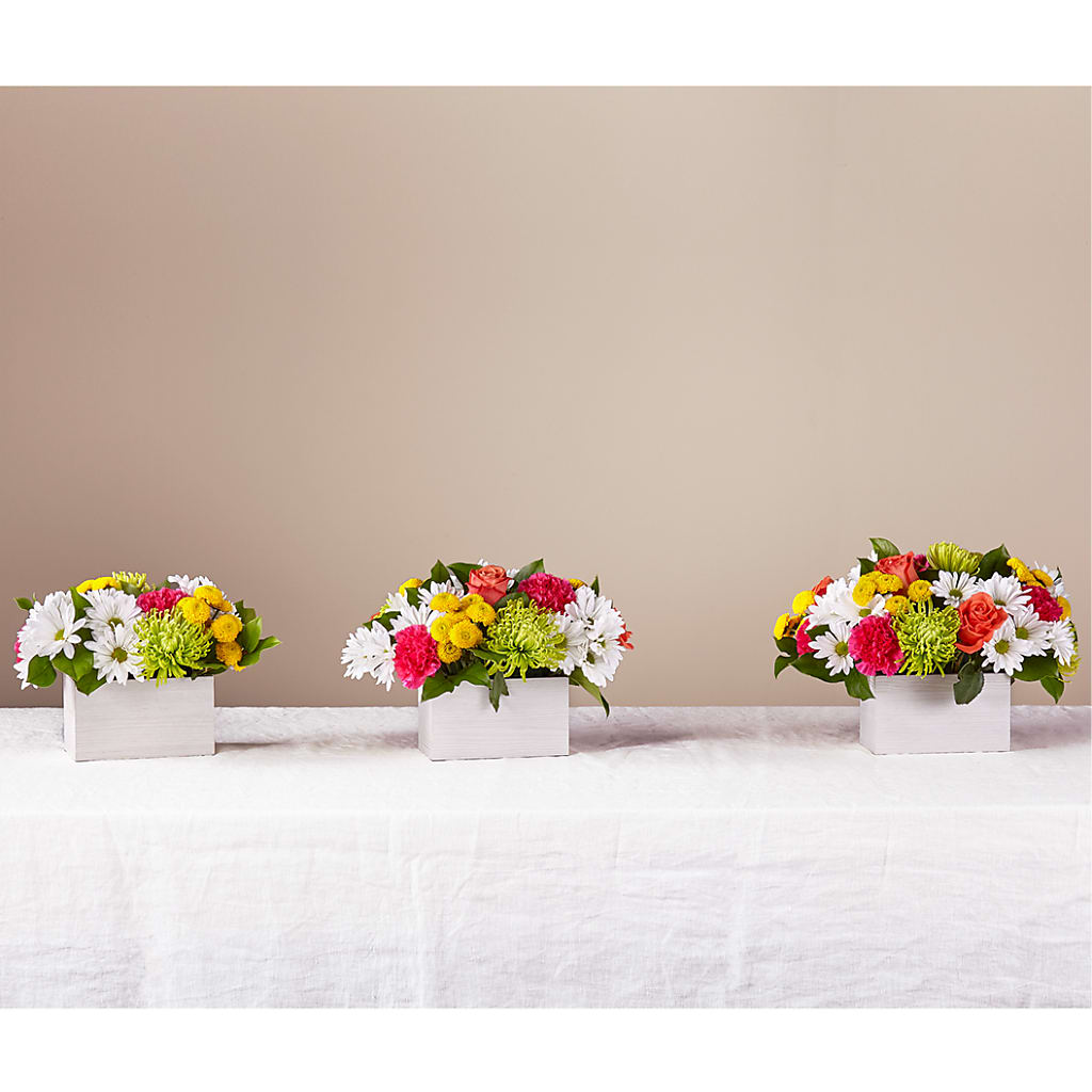 Sorbet Bouquet –  Militaryflorist.com, Tontitown AR