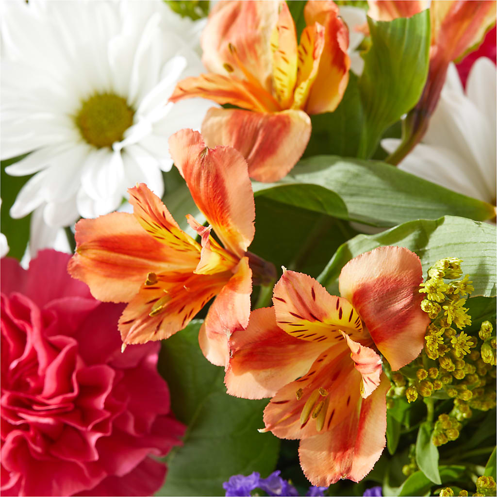 Oopsie Daisy Box Bouquet –  Militaryflorist.com, Tontitown AR