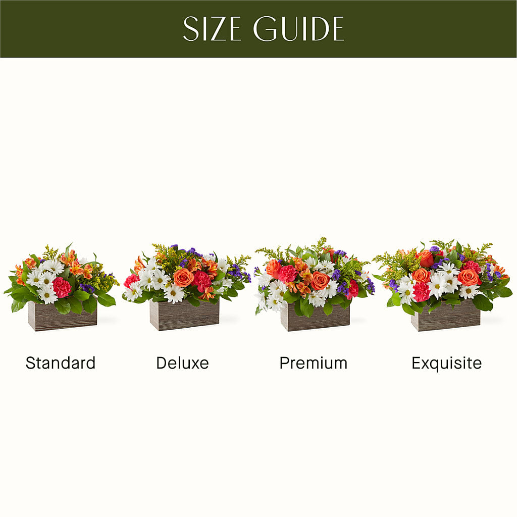 Oopsie Daisy Box Bouquet –  Militaryflorist.com, Tontitown AR