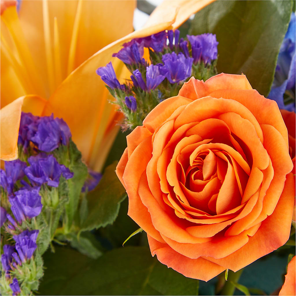 Radiant Citrus Box Bouquet –  Militaryflorist.com, Tontitown AR
