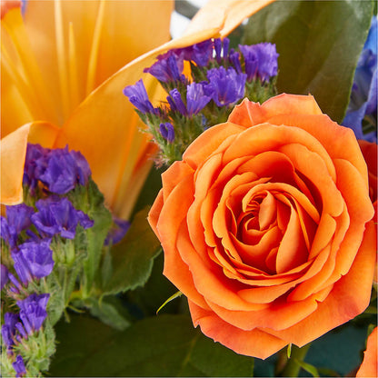 Radiant Citrus Box Bouquet –  Militaryflorist.com, Tontitown AR