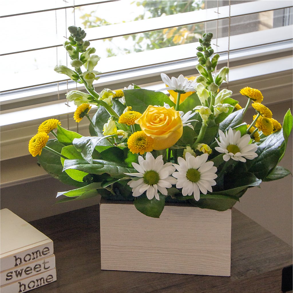 Sun Salutation Box Bouquet –  Militaryflorist.com, Tontitown AR