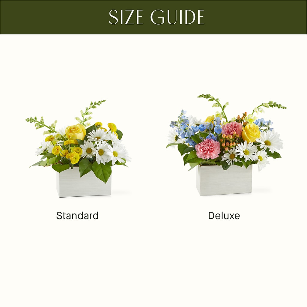 Sun Salutation Box Bouquet –  Militaryflorist.com, Tontitown AR