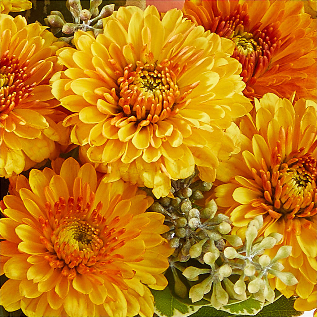 Peachy Pumpkin –  Militaryflorist.com, Tontitown AR