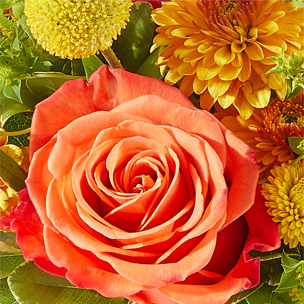 Gourdgeous Pumpkin –  Militaryflorist.com, Tontitown AR