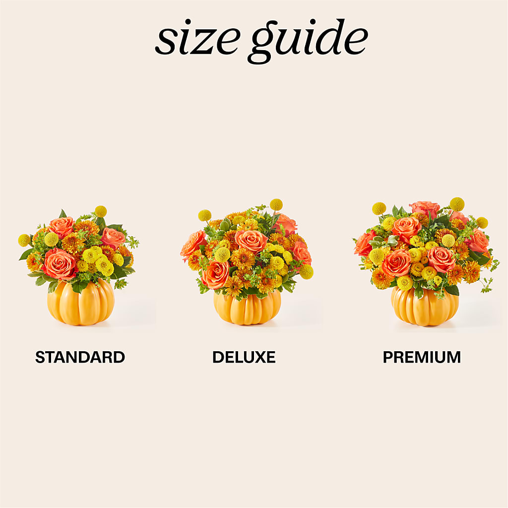 Gourdgeous Pumpkin –  Militaryflorist.com, Tontitown AR