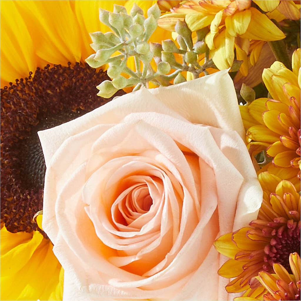 Pumpkin to Talk About Bouquet –  Militaryflorist.com, Tontitown AR