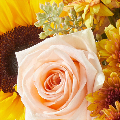 Pumpkin to Talk About Bouquet –  Militaryflorist.com, Tontitown AR