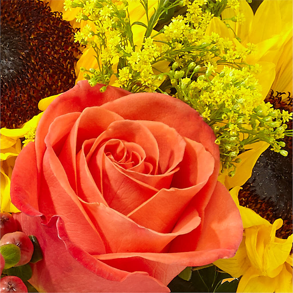 Pick of the Patch Pumpkin Bouquet –  Militaryflorist.com, Tontitown AR