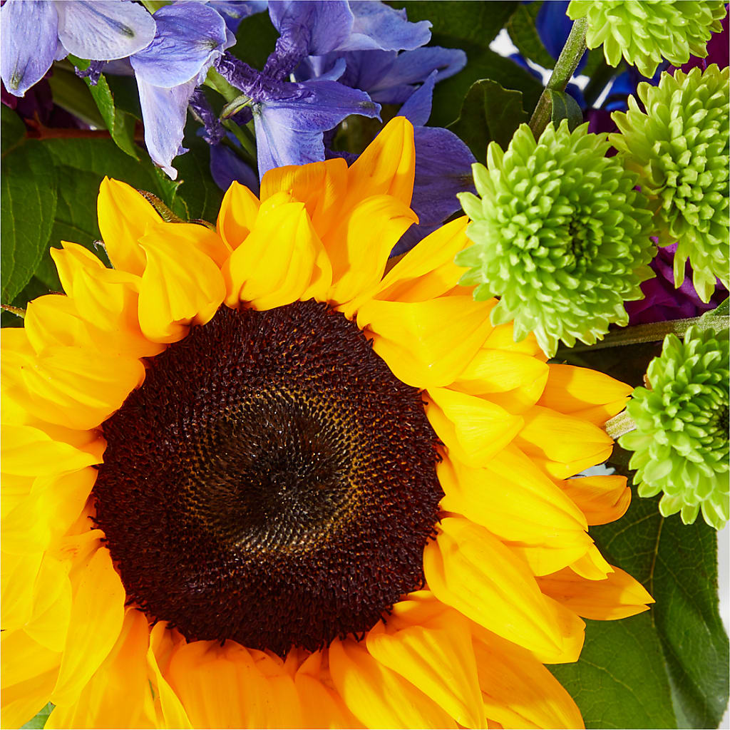 Catching Rays Bouquet –  Militaryflorist.com, Tontitown AR