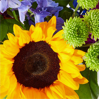 Catching Rays Bouquet –  Militaryflorist.com, Tontitown AR