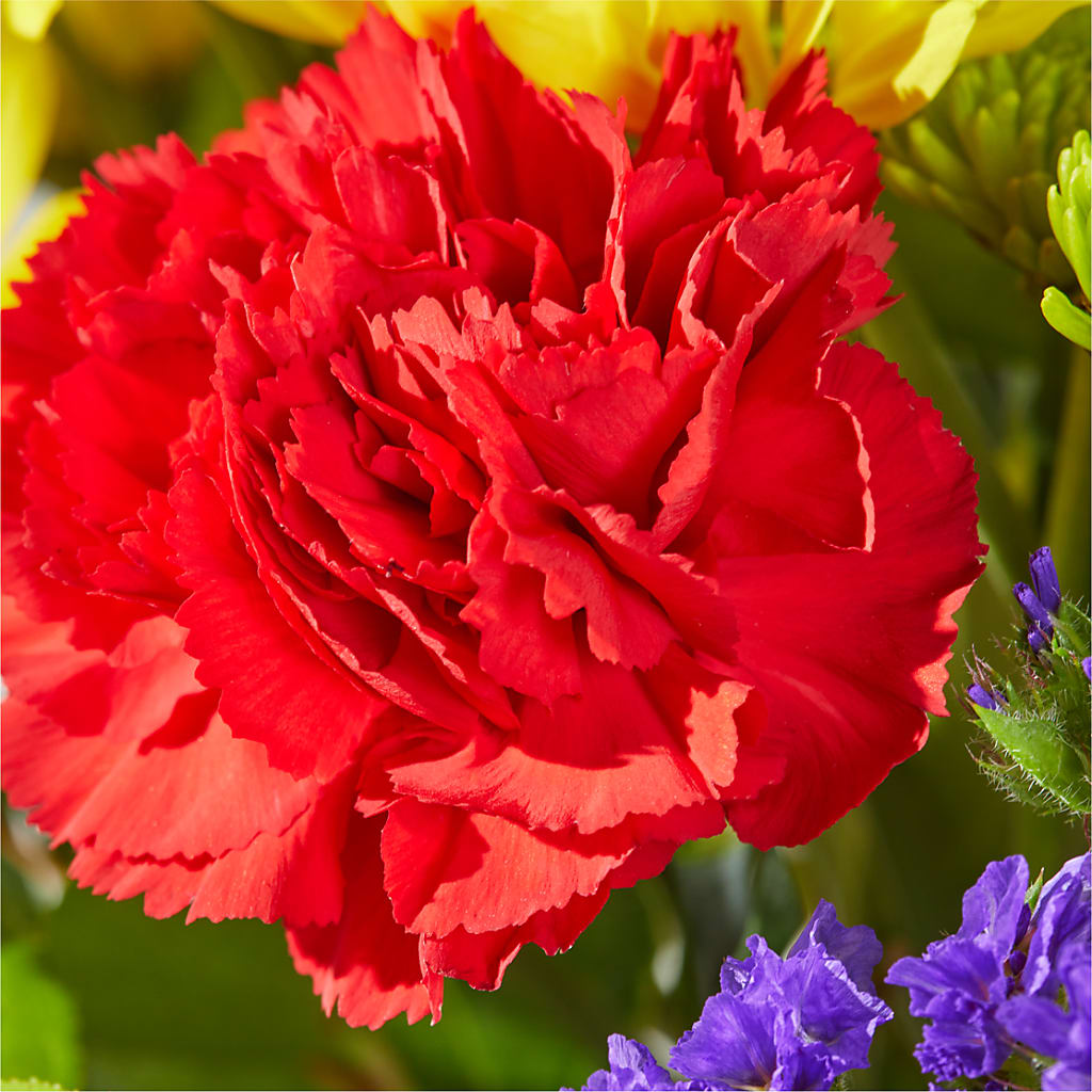 Brighter Days Bouquet –  Militaryflorist.com, Tontitown AR