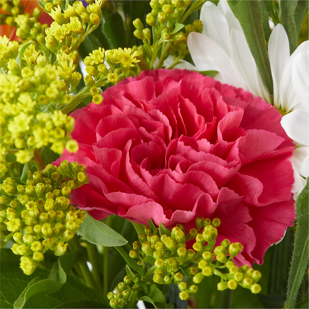 Oopsie Daisy Bouquet –  Militaryflorist.com, Tontitown AR
