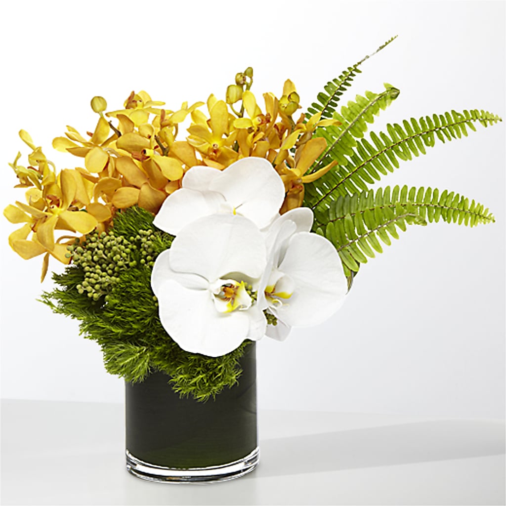 The Tropics –  Militaryflorist.com, Tontitown AR