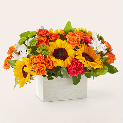 Sun-drenched Blooms Box Bouquet –  Militaryflorist.com, Tontitown AR