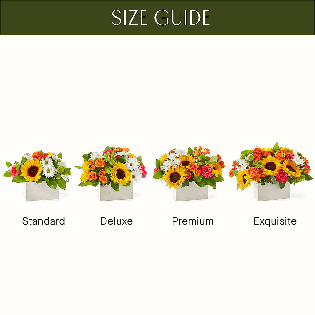 Sun-drenched Blooms Box Bouquet –  Militaryflorist.com, Tontitown AR