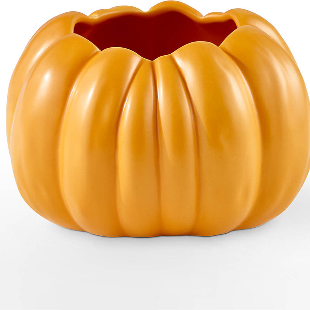 Pick of the Patch Pumpkin Bouquet –  Militaryflorist.com, Tontitown AR