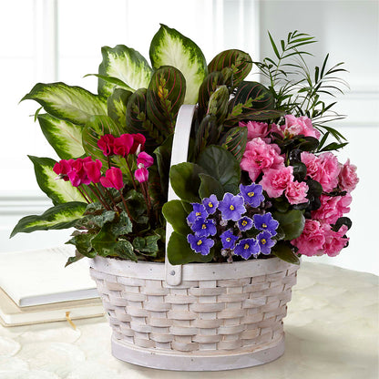 Peaceful Garden Planter –  Militaryflorist.com, Tontitown AR