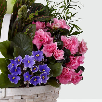 Peaceful Garden Planter –  Militaryflorist.com, Tontitown AR