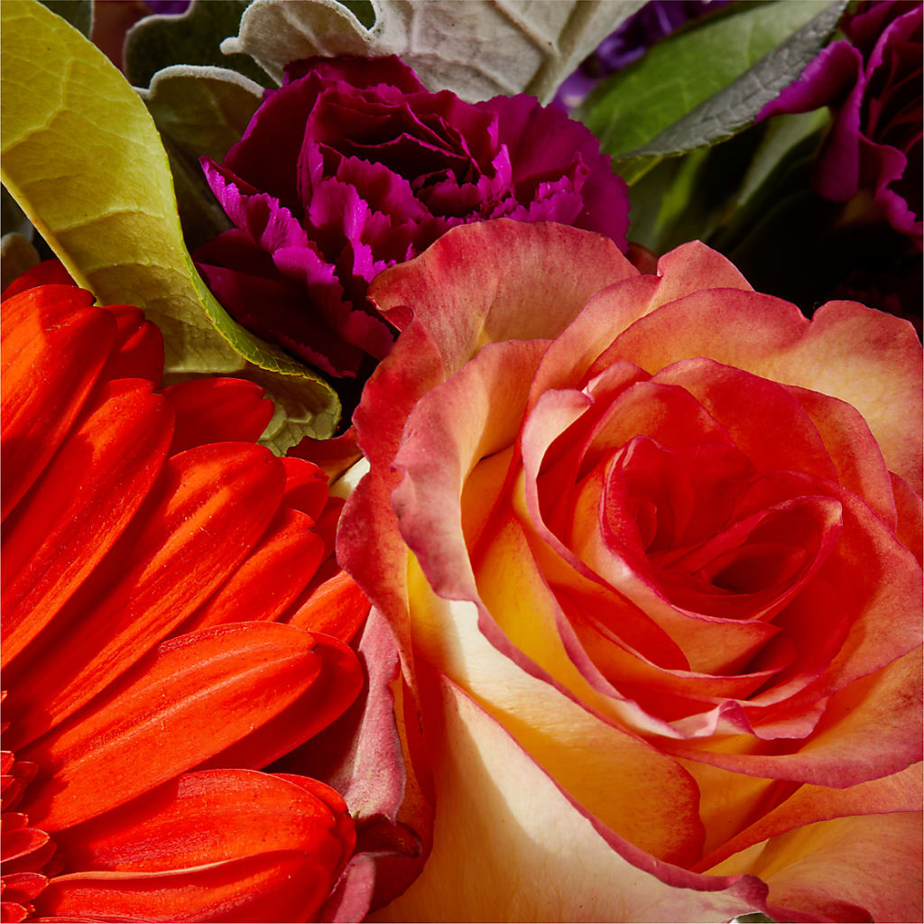 Sangria Bouquet –  Militaryflorist.com, Tontitown AR