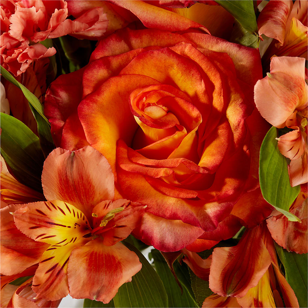 Apricot Glow Bouquet –  Militaryflorist.com, Tontitown AR