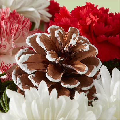Candy Cane Lane Bouquet –  Militaryflorist.com, Tontitown AR
