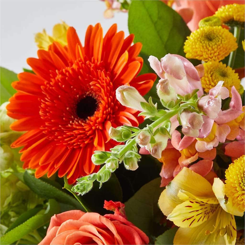 Autumn Sunshine Bouquet –  Militaryflorist.com, Tontitown AR