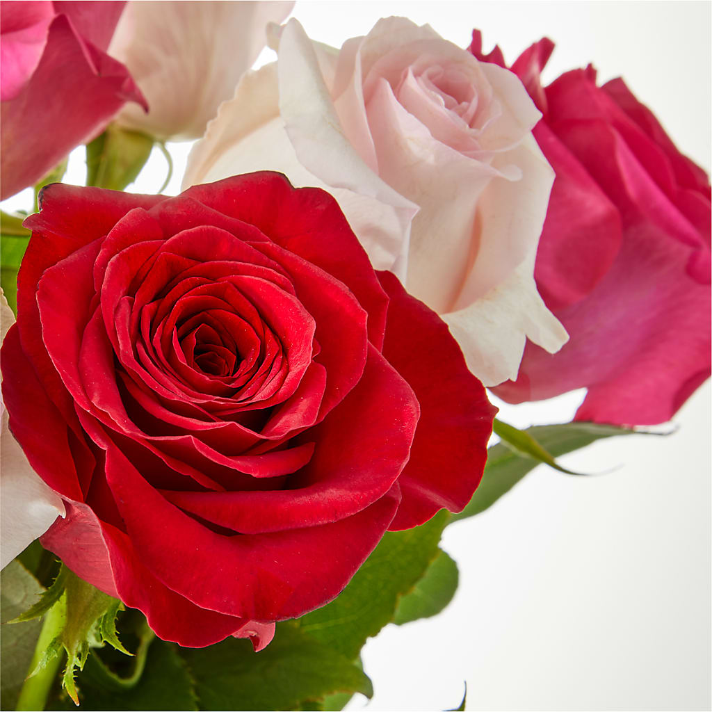 Charming Rose Bouquet –  Militaryflorist.com, Tontitown AR