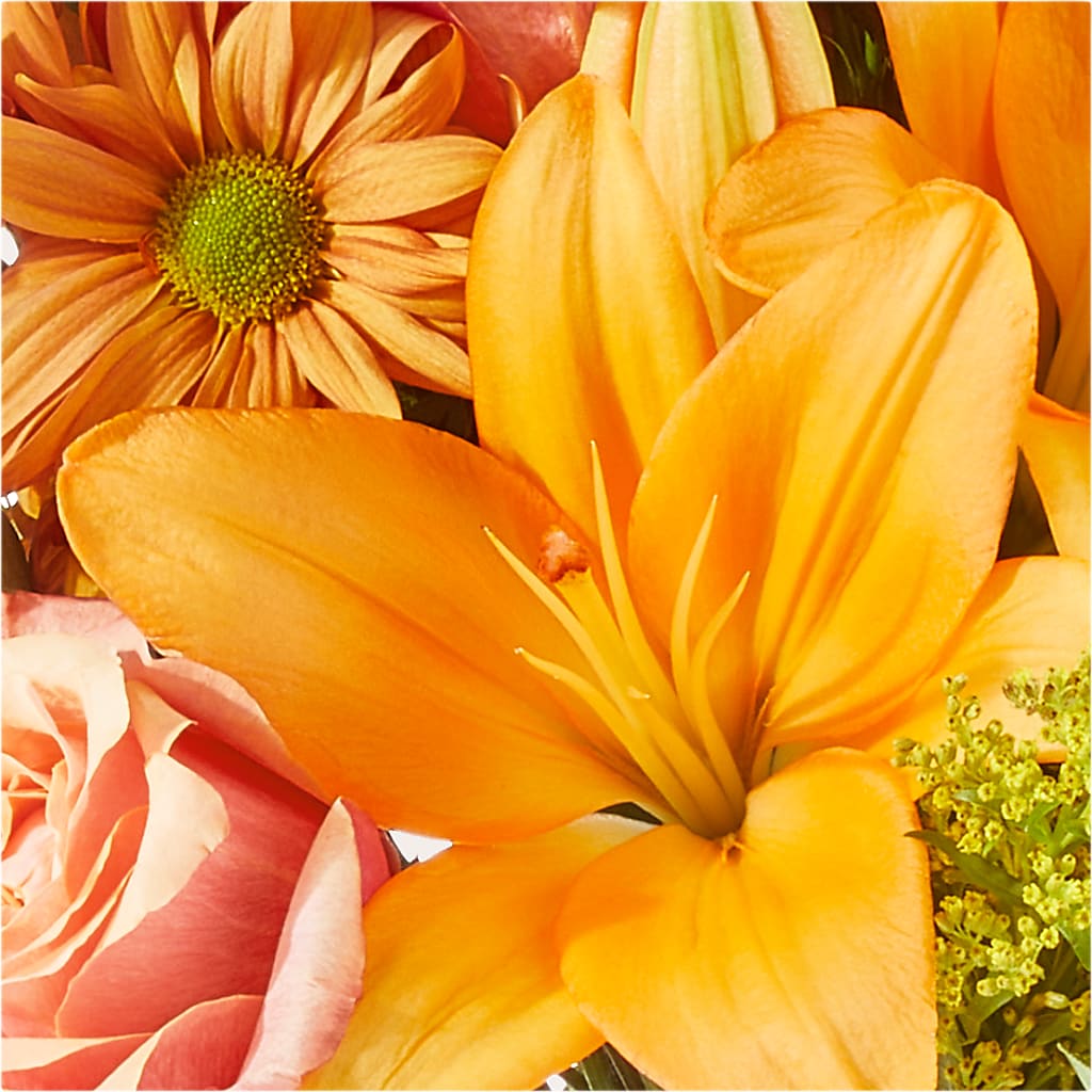 Harvest Hayride Bouquet –  Militaryflorist.com, Tontitown AR