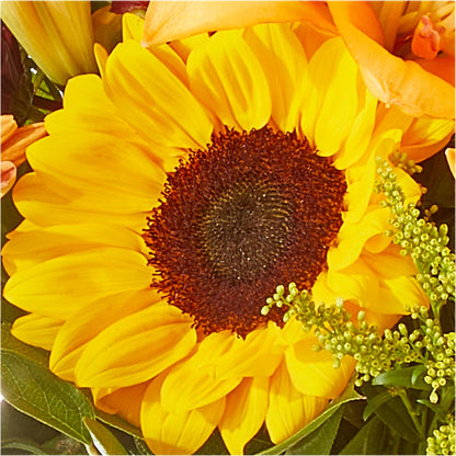 Seasons Change Bouquet –  Militaryflorist.com, Tontitown AR