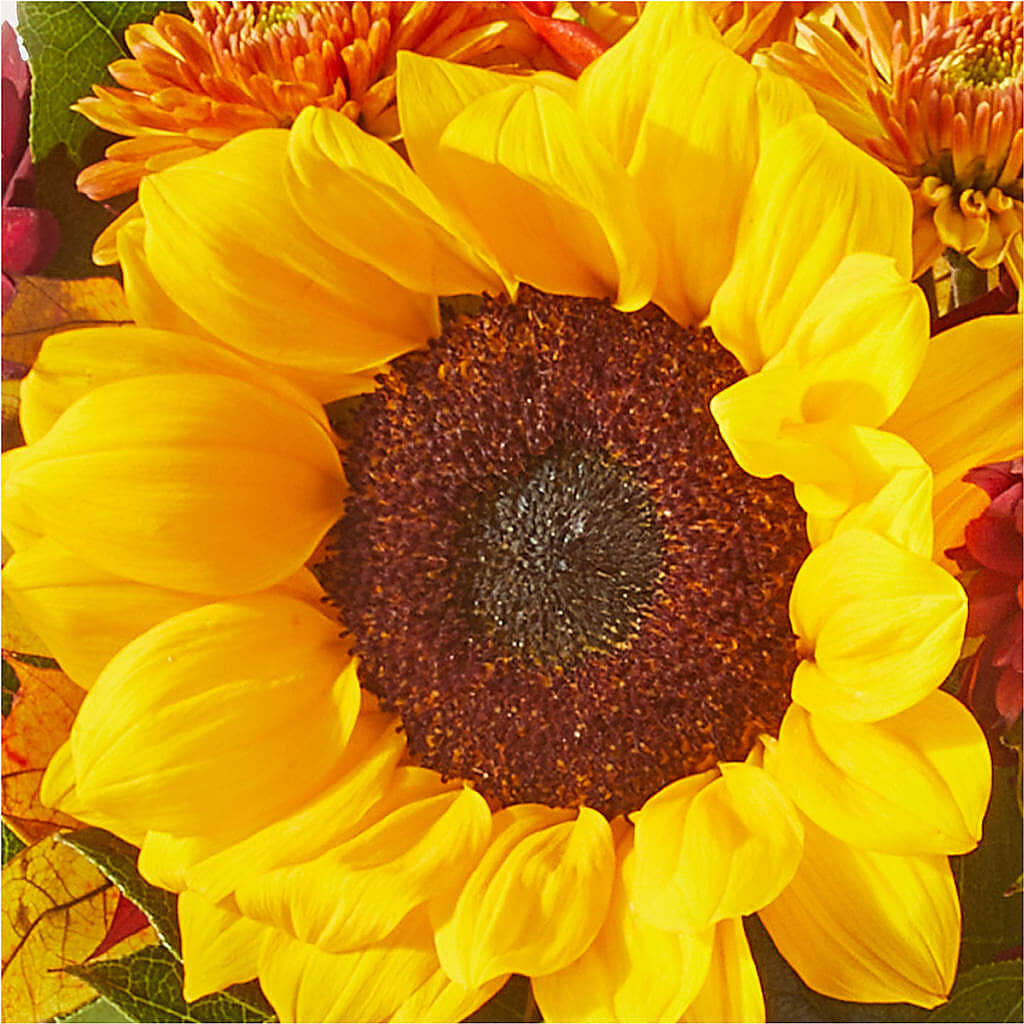 Sunny Side Bouquet –  Militaryflorist.com, Tontitown AR