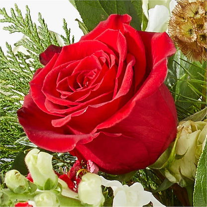 Deck the Halls Bouquet –  Militaryflorist.com, Tontitown AR