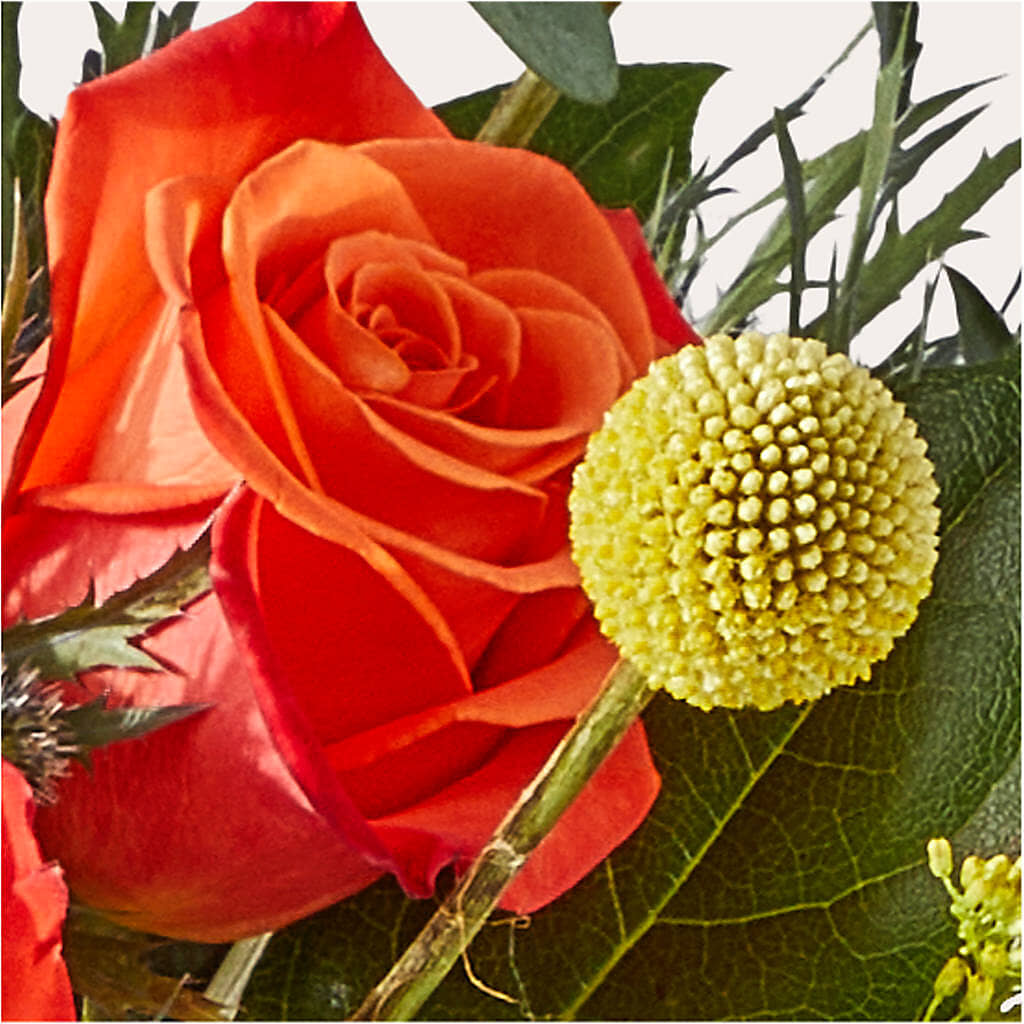 Disco Bouquet –  Militaryflorist.com, Tontitown AR